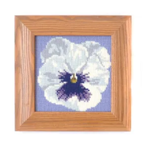 Pansy Mini Kit
