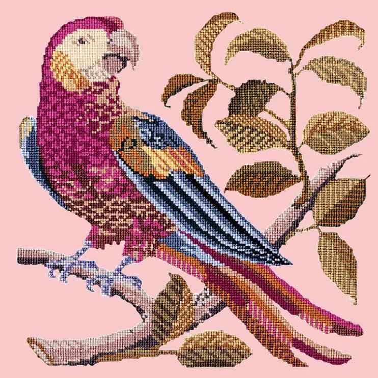 Pete the Parrot