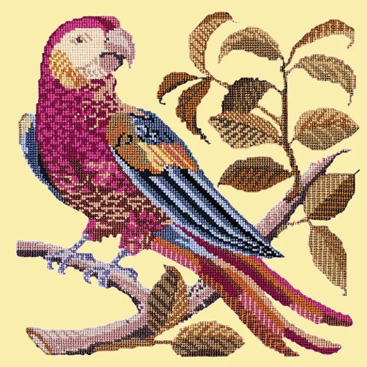 Pete the Parrot