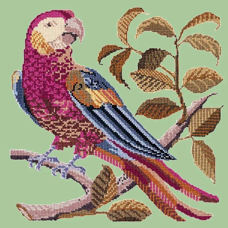Pete the Parrot