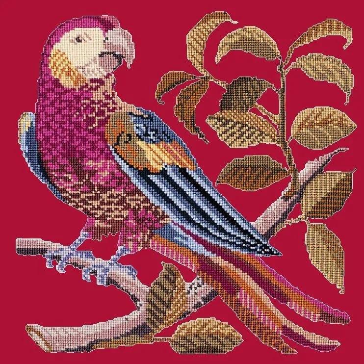 Pete the Parrot