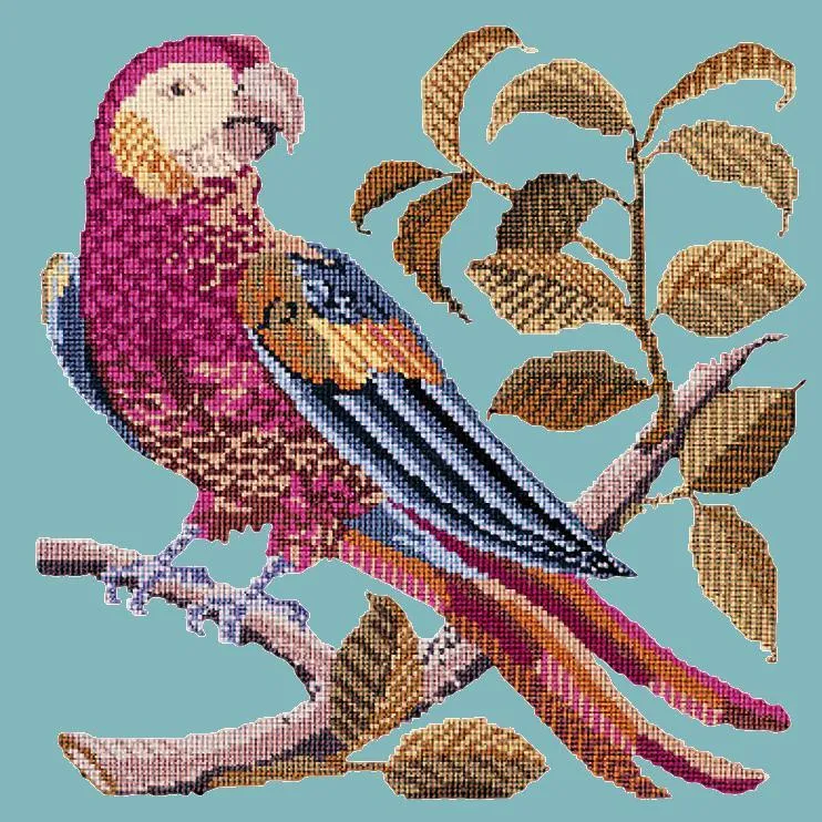 Pete the Parrot