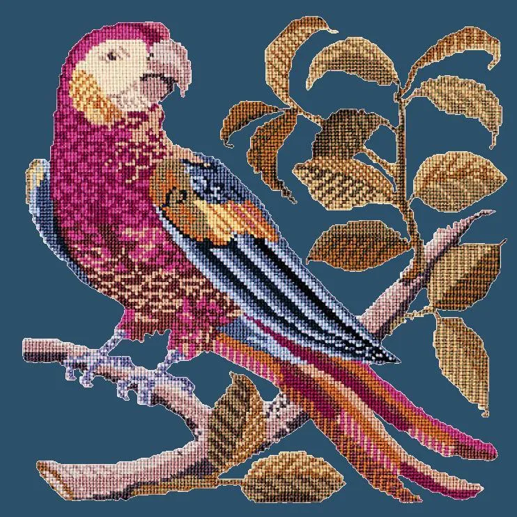 Pete the Parrot