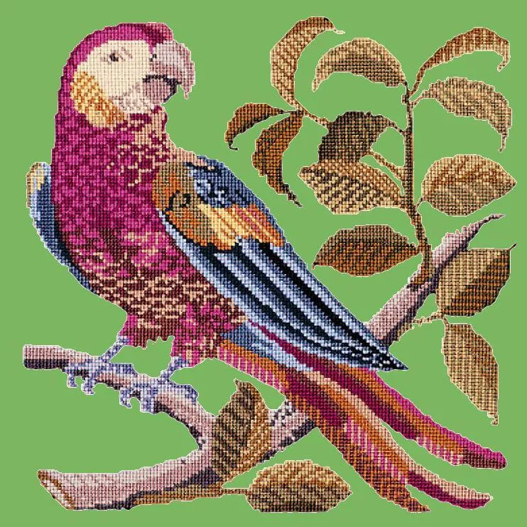 Pete the Parrot