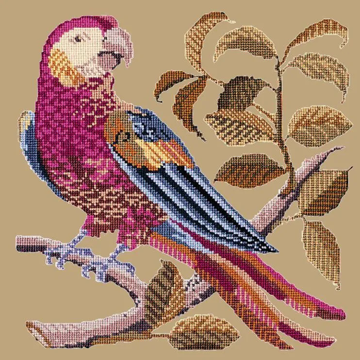 Pete the Parrot