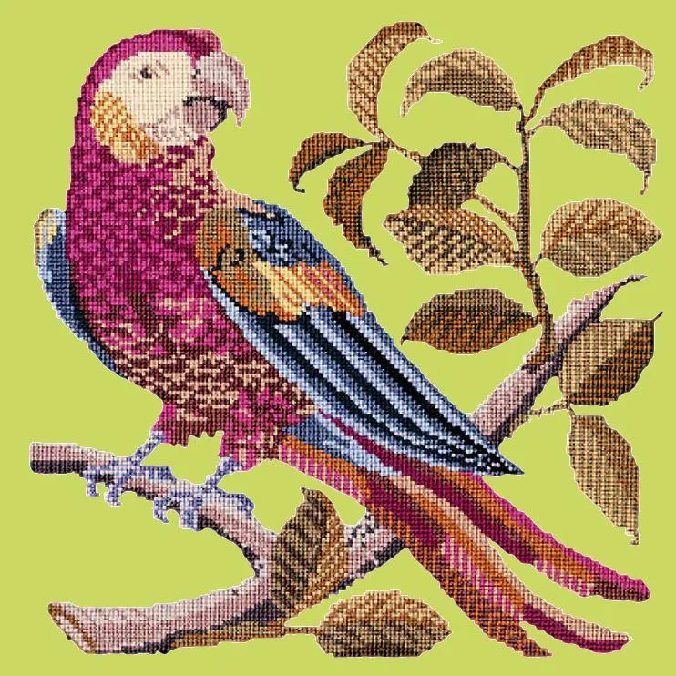 Pete the Parrot