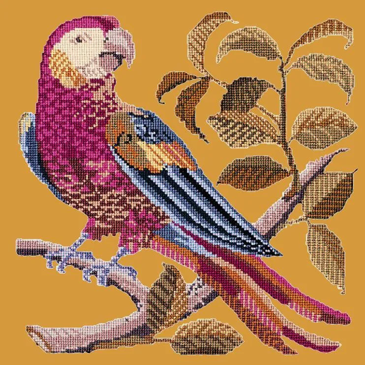 Pete the Parrot