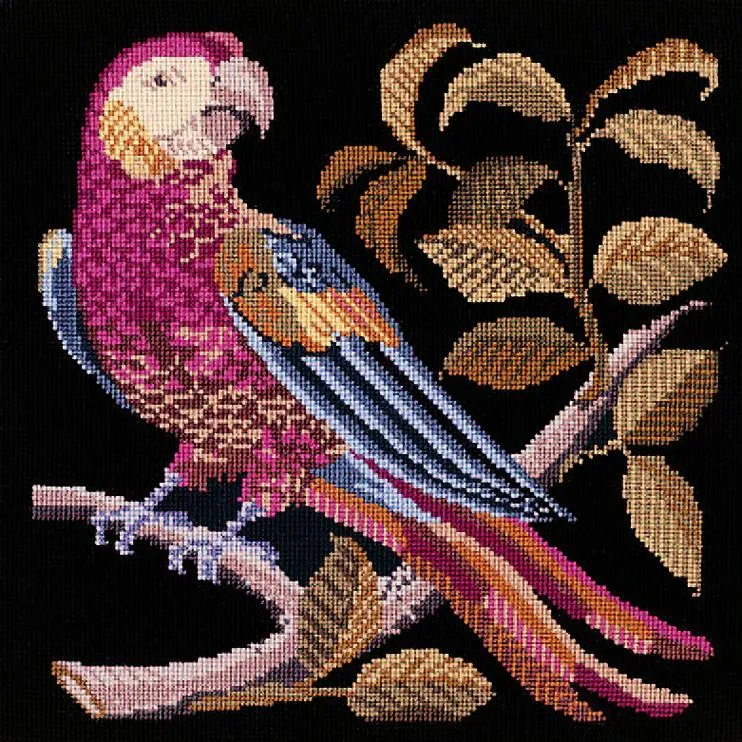 Pete the Parrot