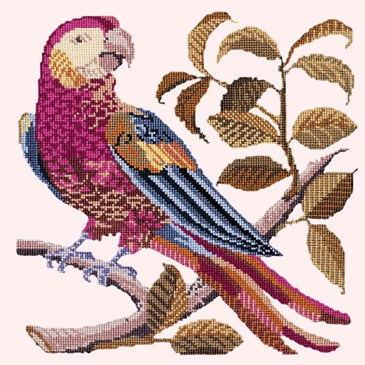 Pete the Parrot