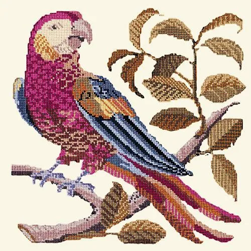 Pete the Parrot