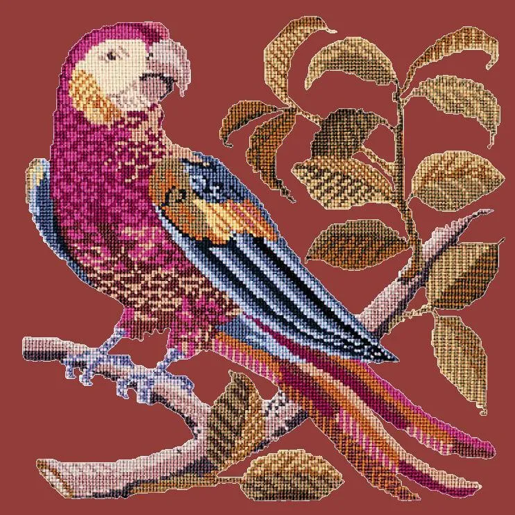 Pete the Parrot