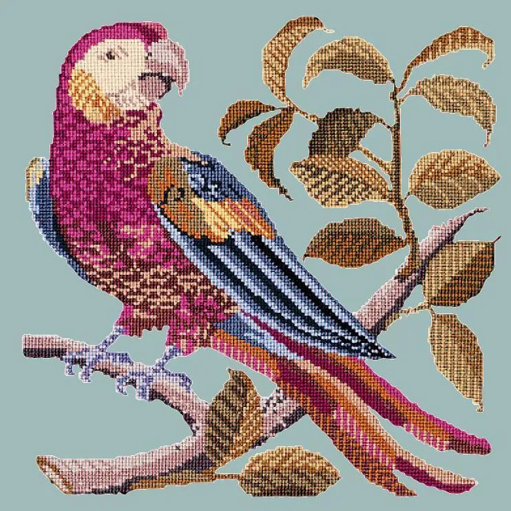Pete the Parrot
