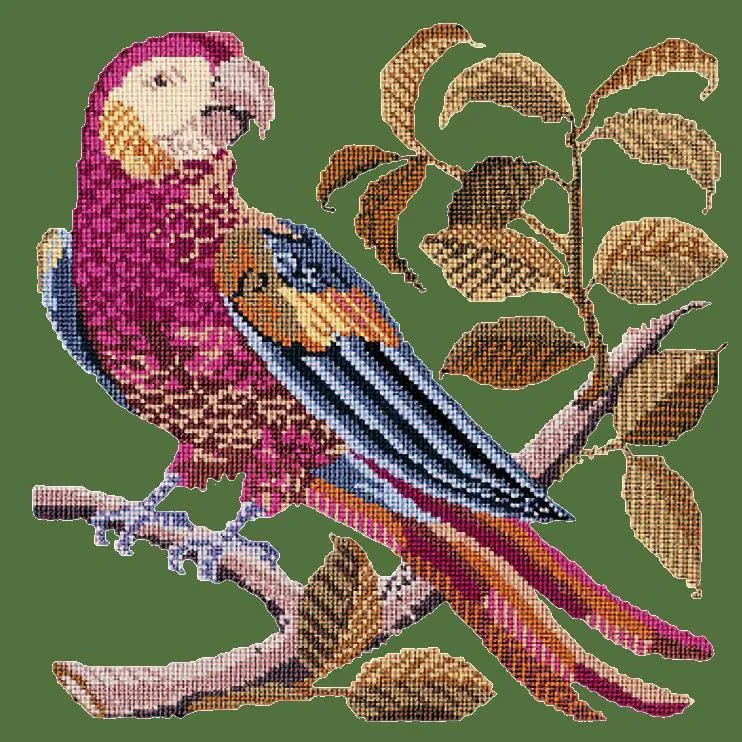 Pete the Parrot