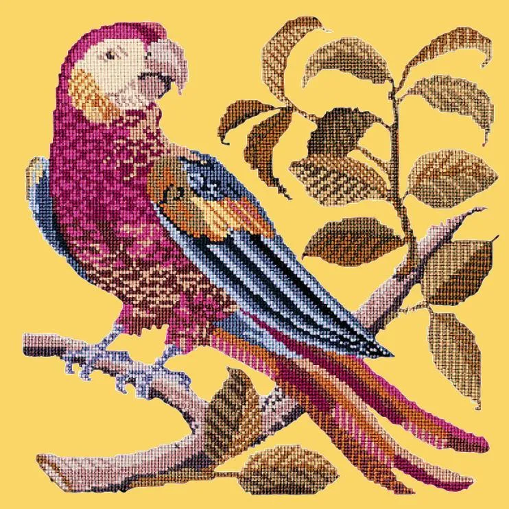 Pete the Parrot
