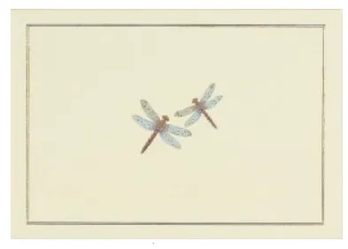 Peter Pauper Press - Blank Note Cards