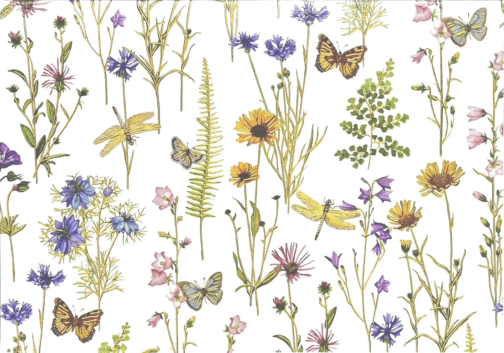 Peter Pauper Press - Blank Note Cards