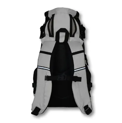 Plus 2 | Dog Carrier with Removable Storage - Summer Mint