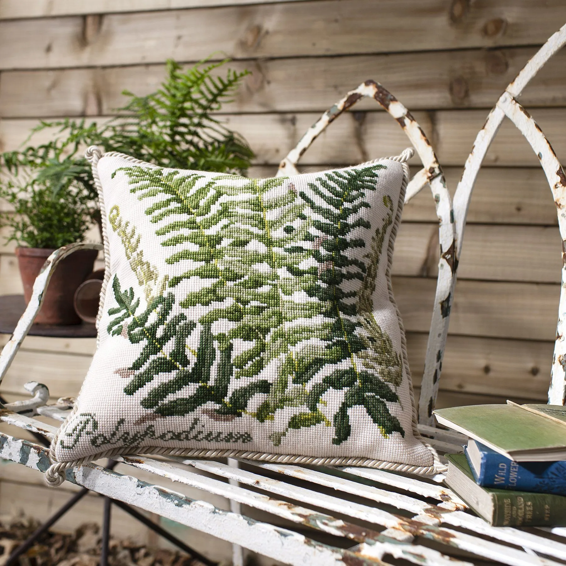 Polypodium