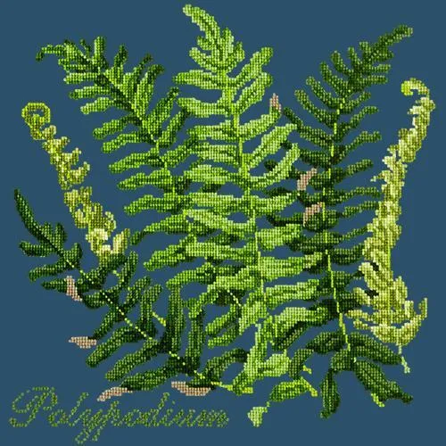 Polypodium