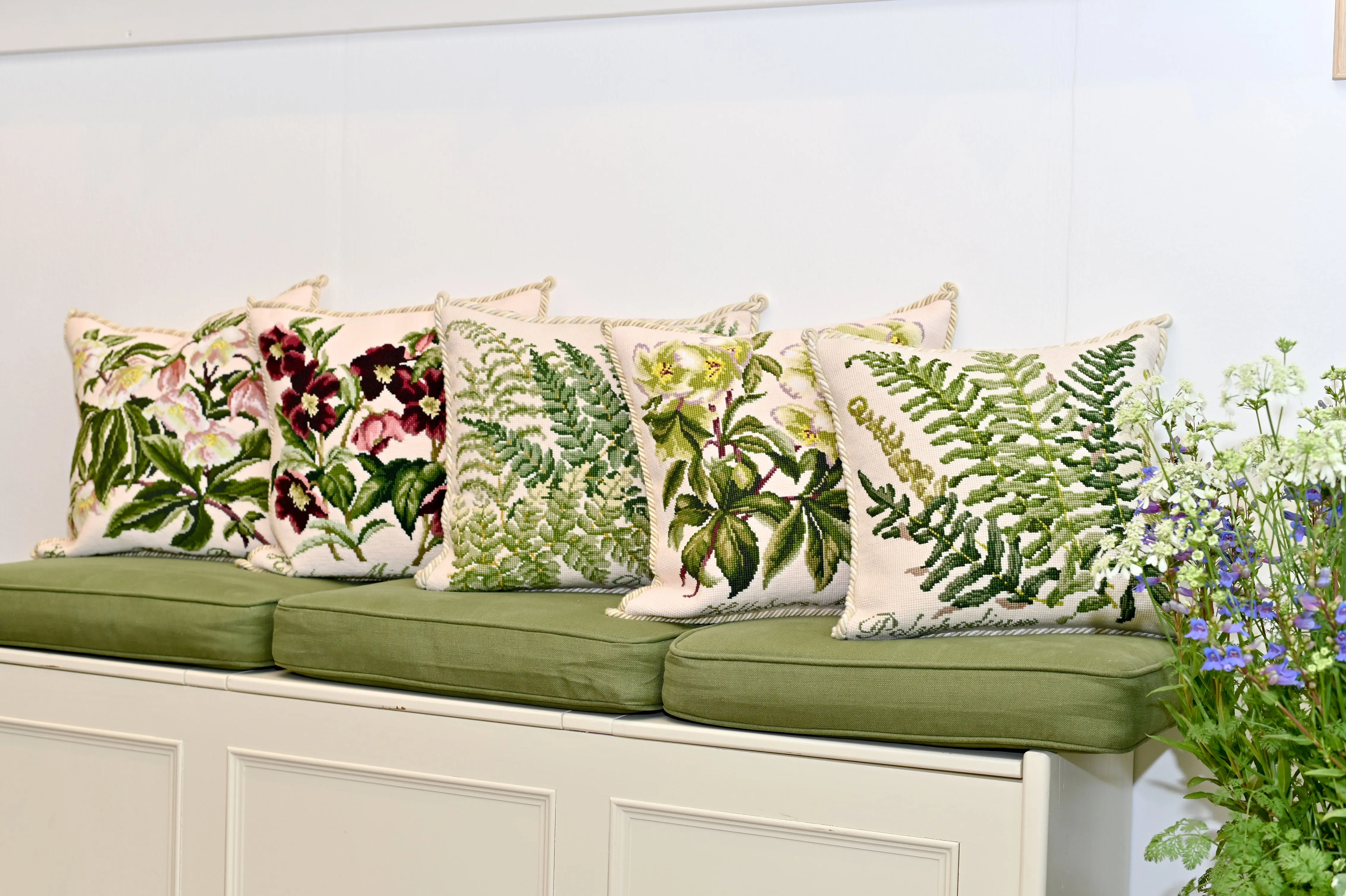 Polypodium