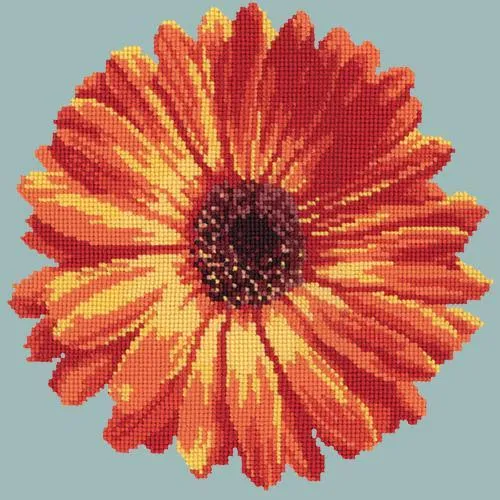 Pot Marigold
