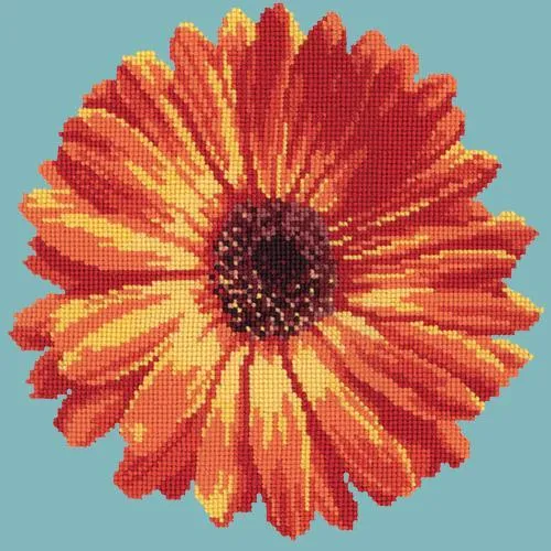Pot Marigold