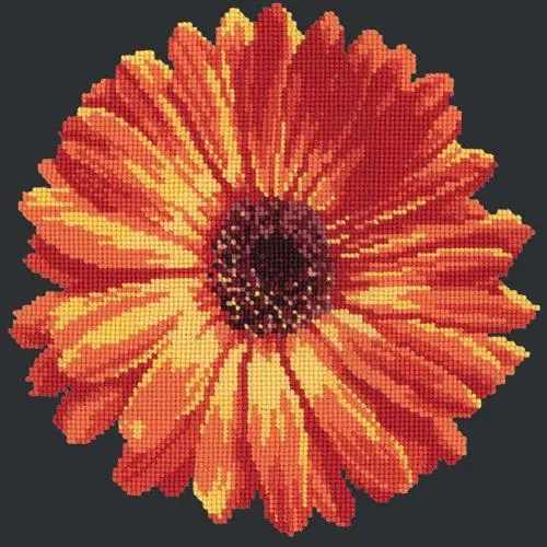 Pot Marigold