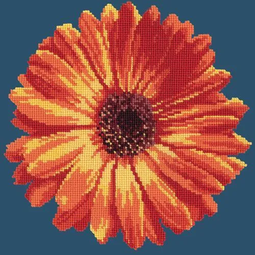 Pot Marigold