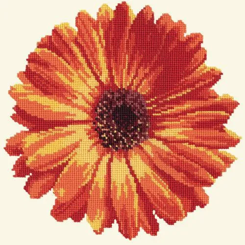 Pot Marigold