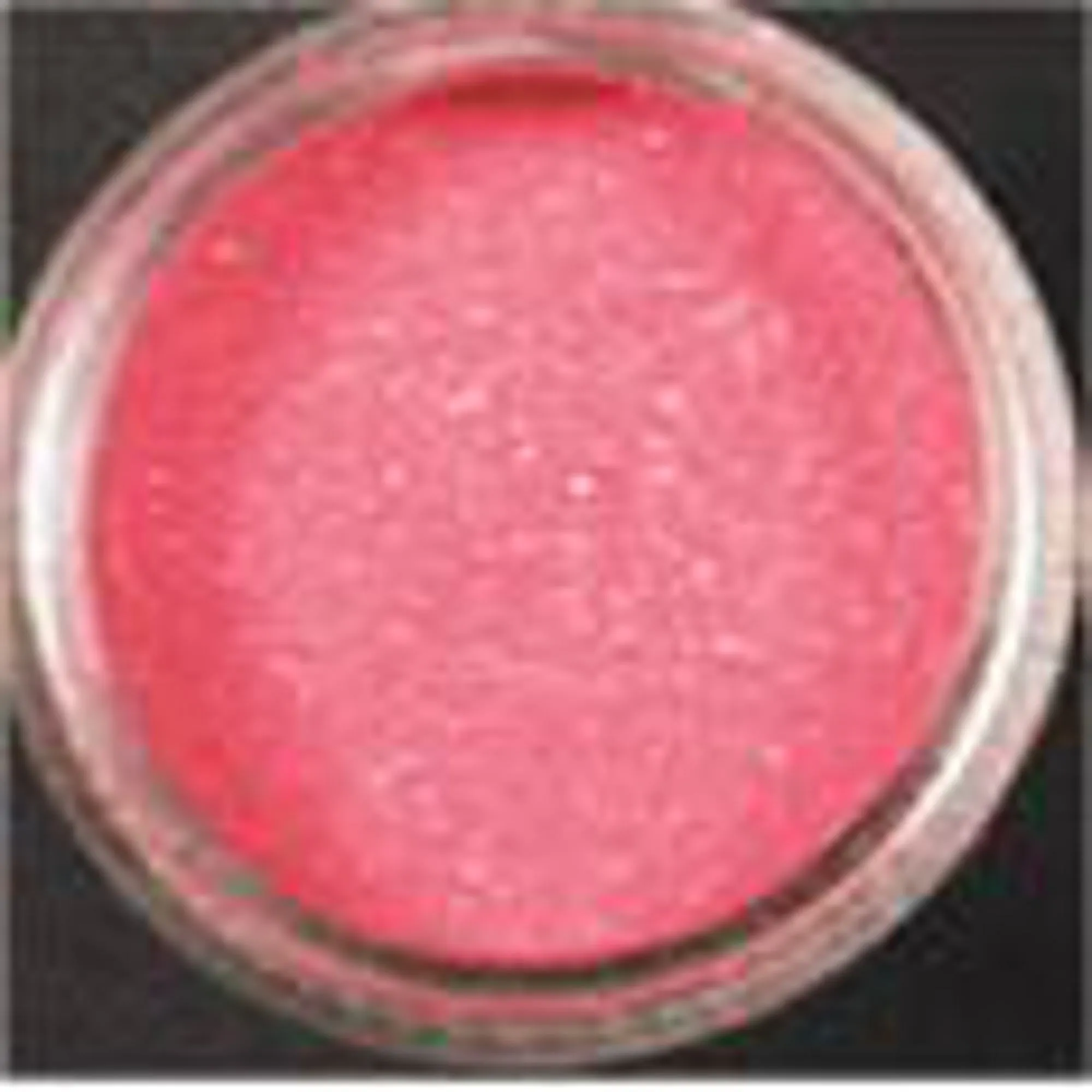 "Luster Powder Fuchsia Fire (Mini)"