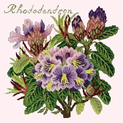 Rhododendron