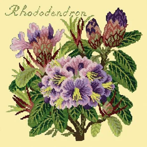 Rhododendron