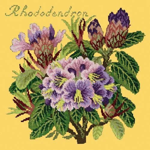 Rhododendron