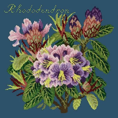 Rhododendron