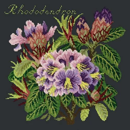 Rhododendron