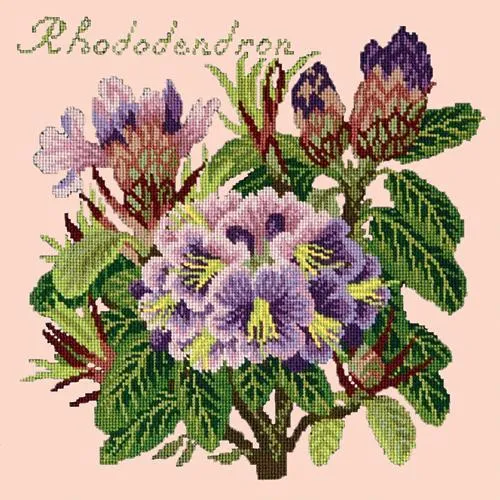 Rhododendron