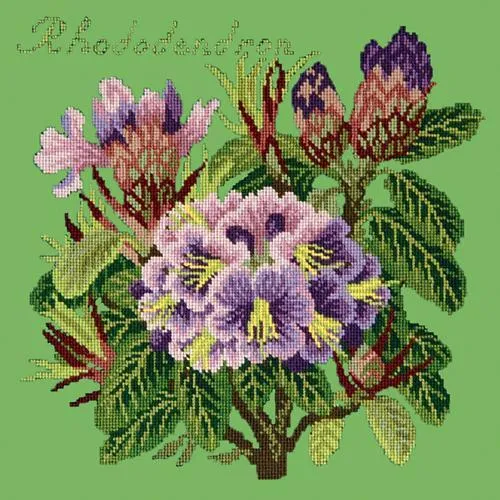 Rhododendron