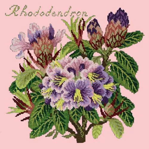 Rhododendron