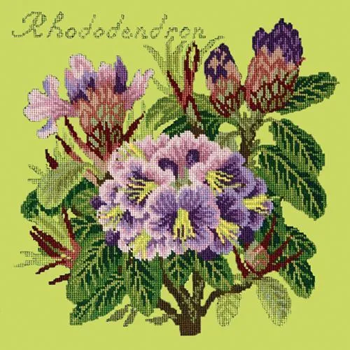 Rhododendron