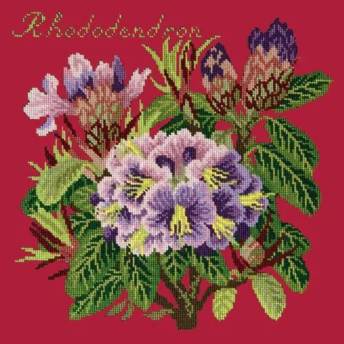 Rhododendron