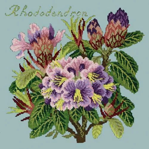 Rhododendron
