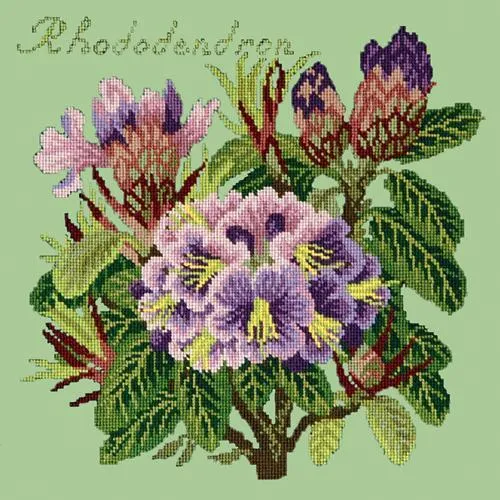Rhododendron