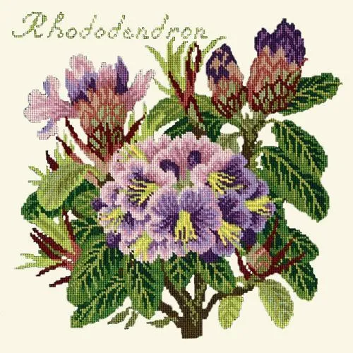 Rhododendron