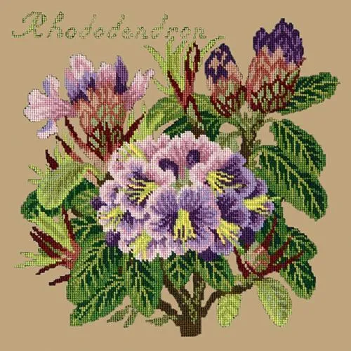 Rhododendron