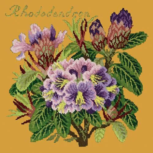 Rhododendron