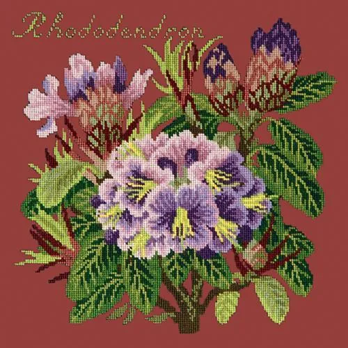 Rhododendron