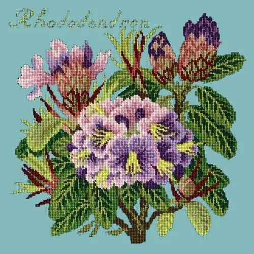 Rhododendron