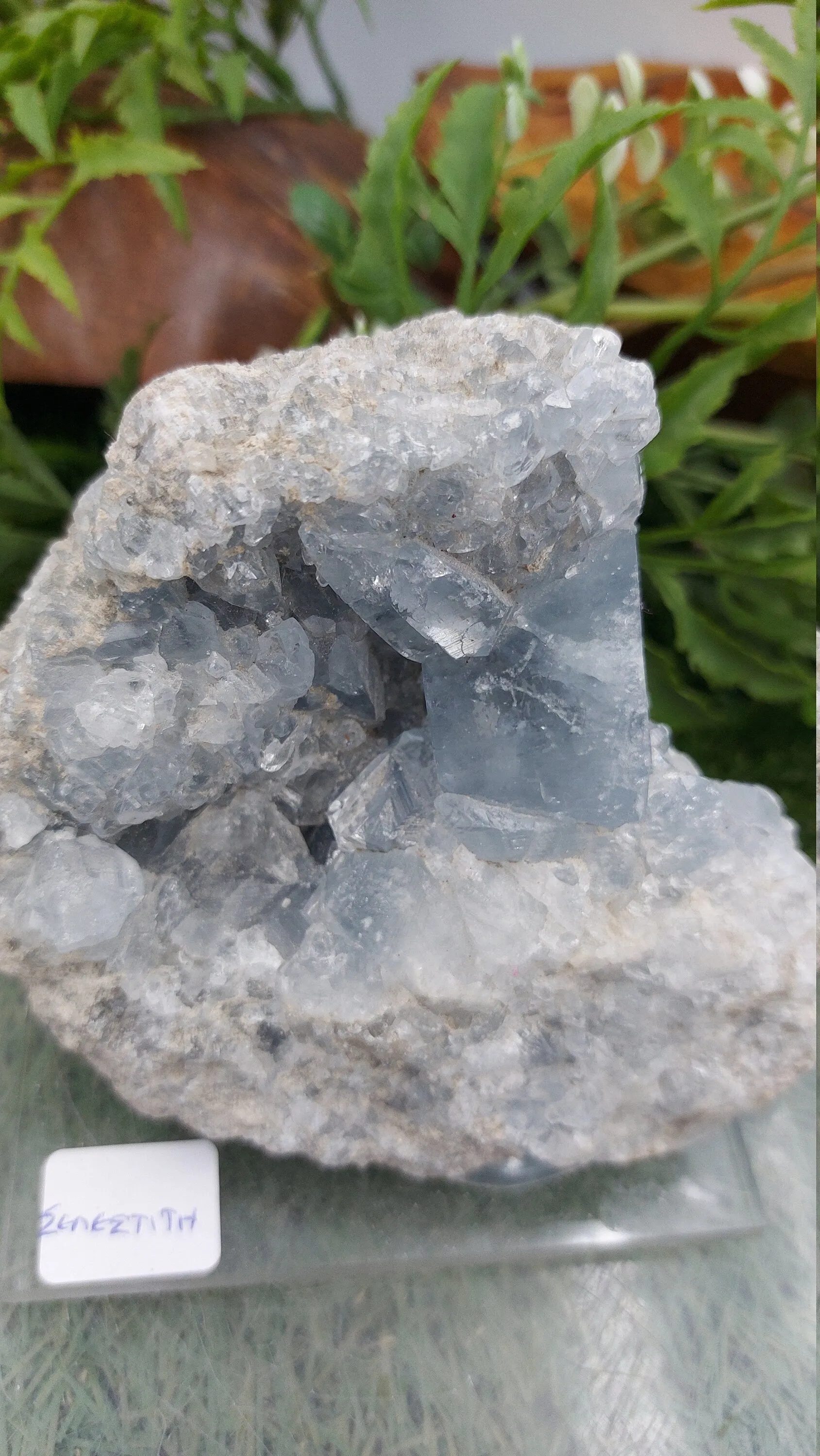 Rough Geody Celestite Mineral Piece - Home Decor / Feng Shui / Protection / Gift Ideas