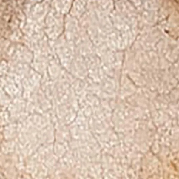 Soft Shell Pastel Luster Dust