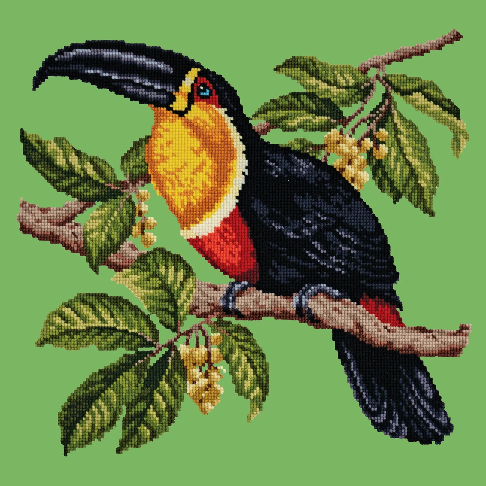 Toucan